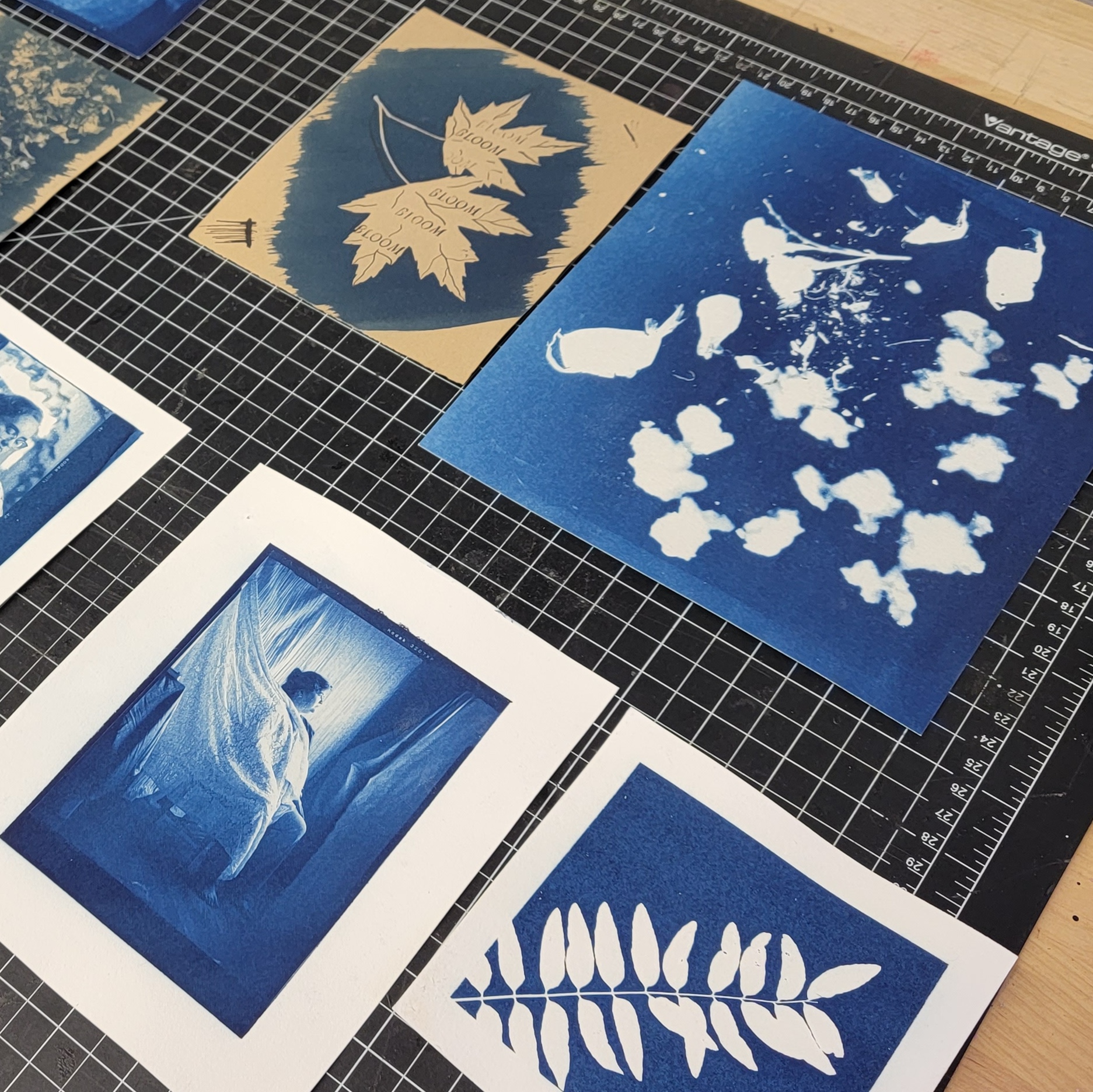 array of cyanotypes including botanical prints and photo negatives